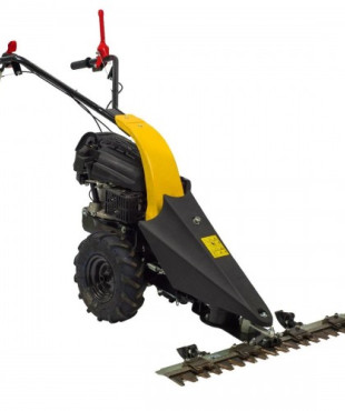 Texas CB8700 Αυτοκινούμενο Θεριστικό με Τετράχρονο Βενζινοκινητήρα