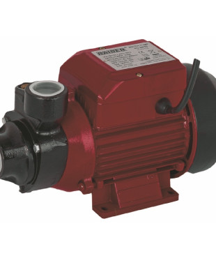 RAIDER Αντλία ηλεκ. περιφερειακή νερού RD-PK60 370W 070101