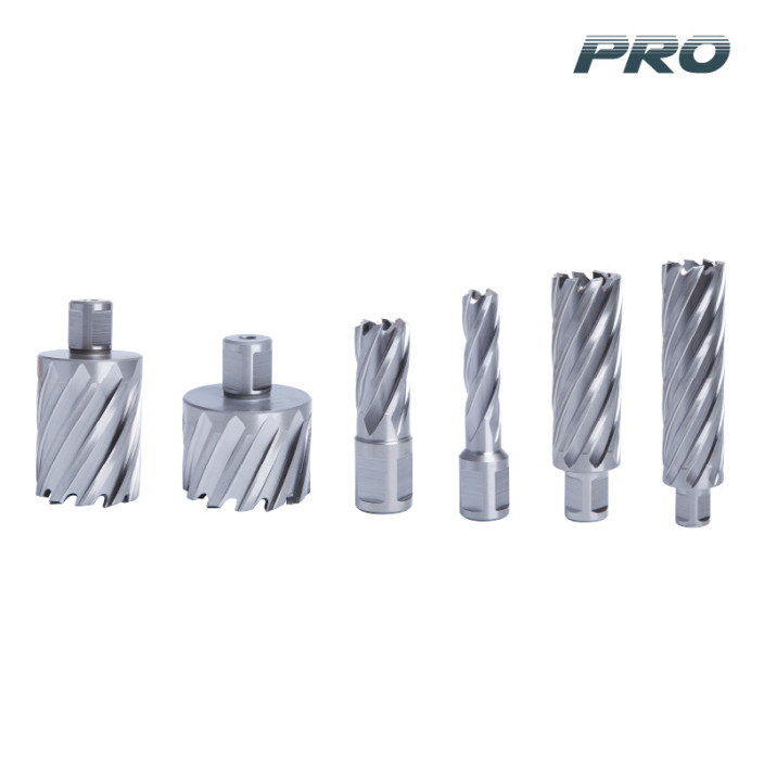 BORMANN Pro BHT4333 Ποτηροκορώνα HSS WELDON Μαγνητικού Δραπάνου 20x50mm